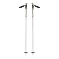 Bâtons Black Diamond Compactor Ski Poles